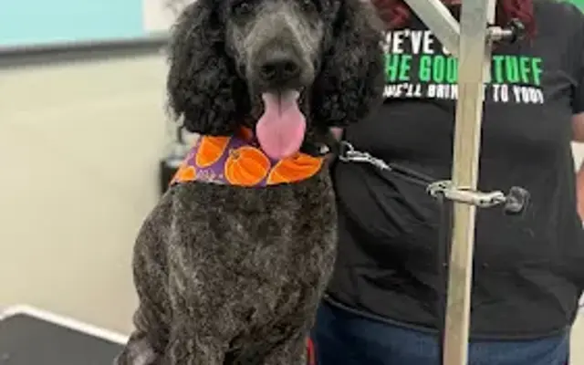 Pet Supplies Plus McAllen Grooming in McAllen, TX