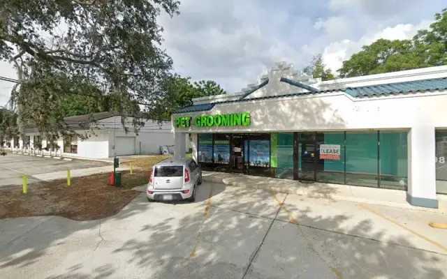 Pet Grooming in Jacksonville, FL