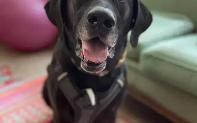 Ellis Co Pet Care in Waxahachie, TX