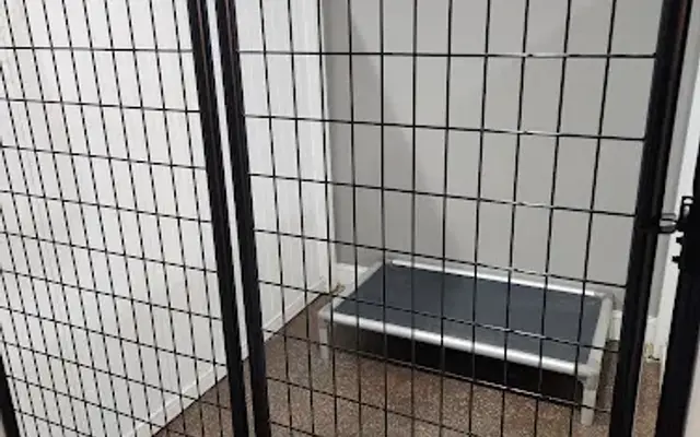 Happy Hounds Boarding in Henderson, KY
