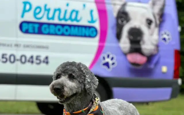 Pernia Pet Grooming Mobile in Orlando, FL