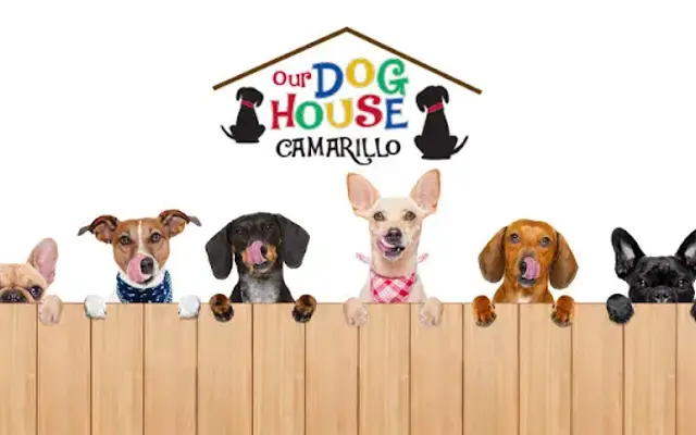 Our Dog House Camarillo in Camarillo, CA