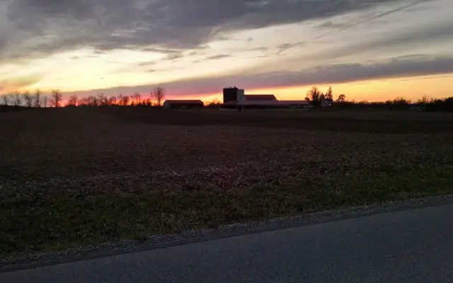 Wilmar Boarding Kennels in Galion, OH