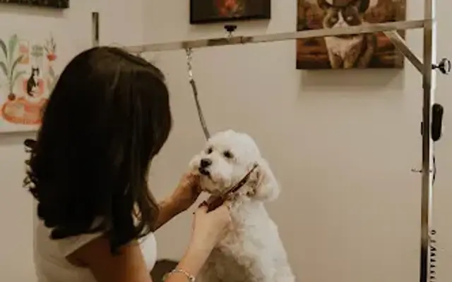 Muttz and Mittenz Pet Spa in Montgomery, TX