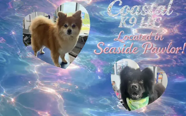 Coastal K9 LLC in Crestview, FL