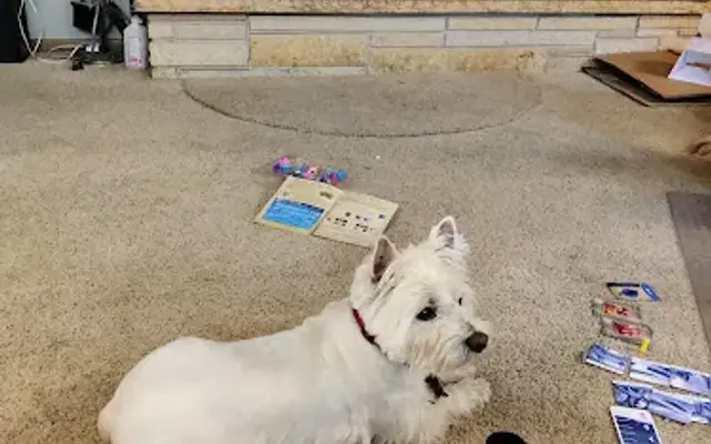 K-9 Klips Grooming in Avon, MN