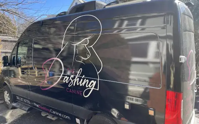 The Dashing Canine in Gloucester, MA