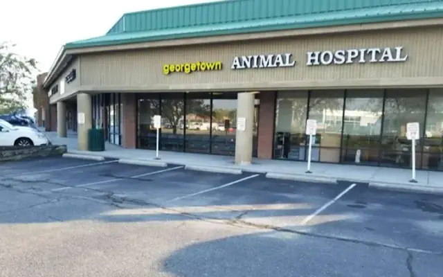 Georgetown Animal Hospital in Indianapolis, IN