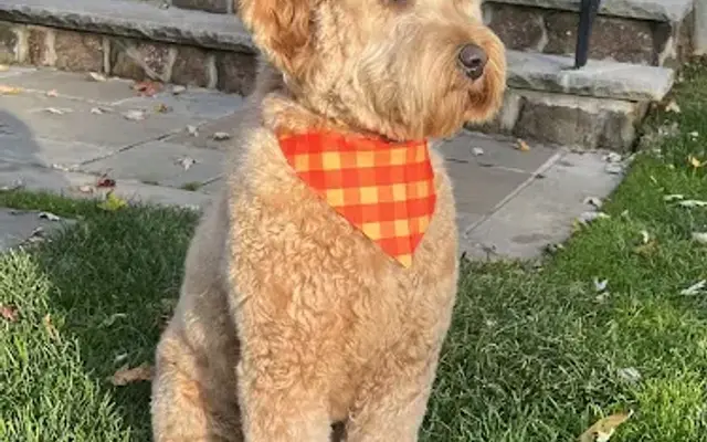 Zoomin Groomin in Red Bank, NJ