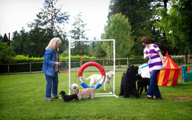 Myownly Boarding Kennel in Monroe, WA