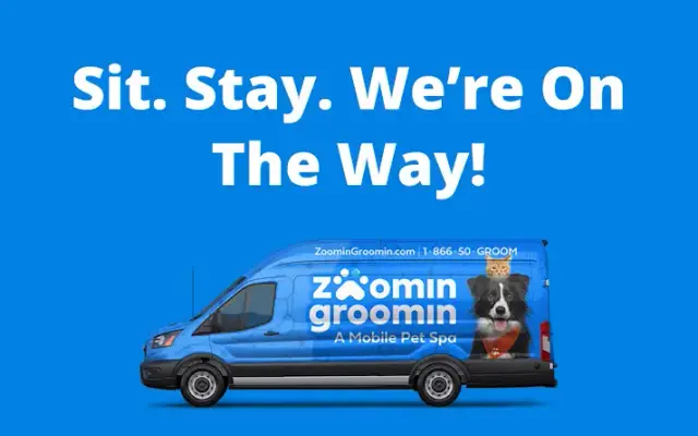 Zoomin Groomin in Lone Tree, CO