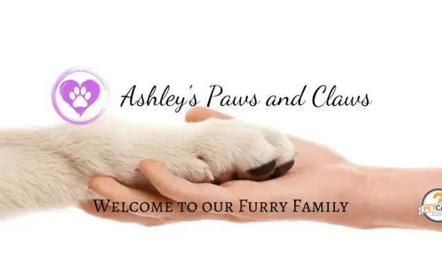 Ashley's Paws and Claws in Murrysville, PA