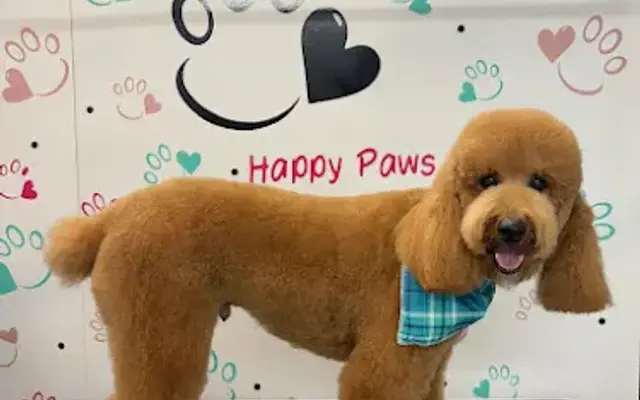 Happy Paws Spa & grooming in Katy, TX