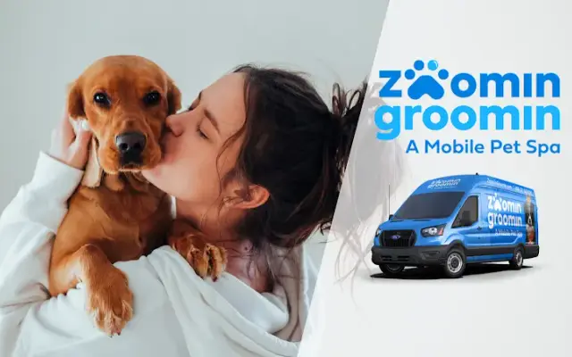 Zoomin Groomin in Fort Collins, CO