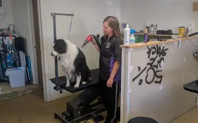 Melodee's Grooming in Camp Verde, AZ