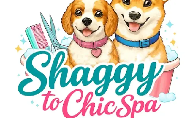 Shaggy to Chic Spa in Elmsford, NY