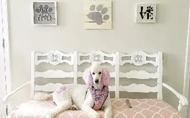 The Peachy Pet Parlor in Monroe, GA