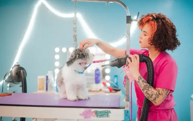 Grooming by Chicawoof in Broadview, IL