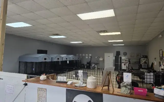 The Comb & Collar in Ashland, AL