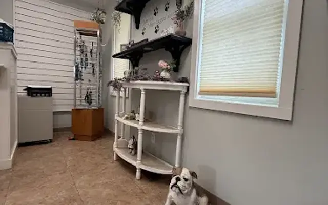 Britneys Grooming Spa in Lake George, NY