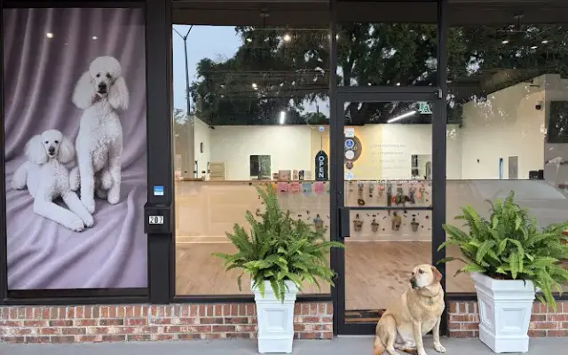 Pawté Grooming & Wellness in St Simons Island, GA