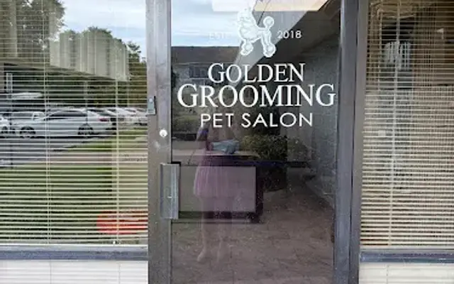 Golden Grooming in Destin, FL
