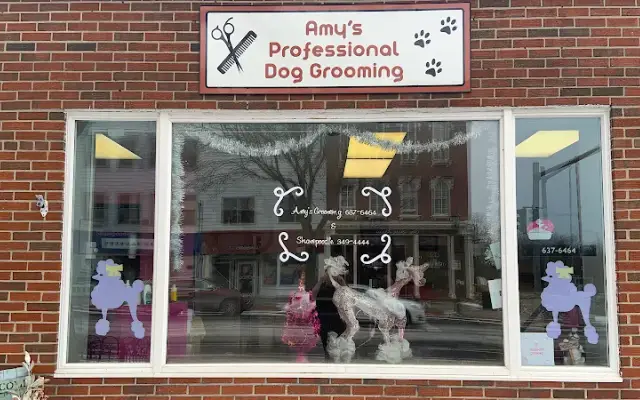 Amy's Professional Dog Grooming in Brockport, NY