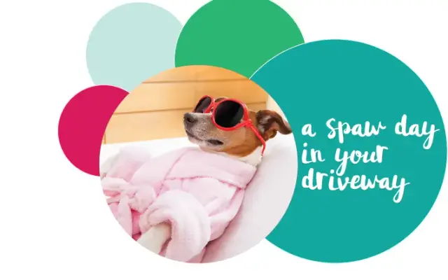 All About the Dogs in Alpharetta, GA