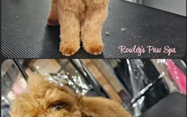 Rowley's Paw Spa in North St Paul, MN