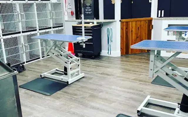 Champions Premier Dog Parlor - West Chester in West Chester, PA