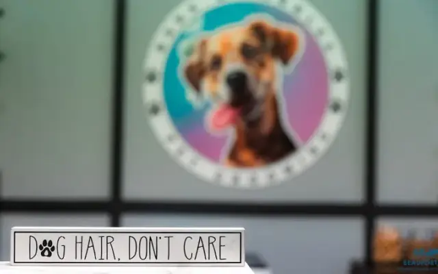 Bark & Bubbles Grooming Boarding and Daycare in Beaufort, SC
