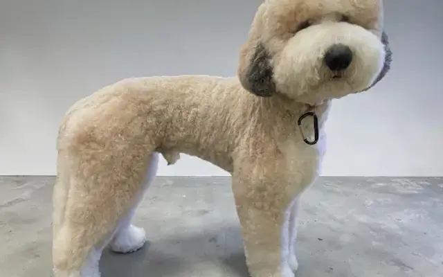 BeckYard Grooming Co. in Heath, TX