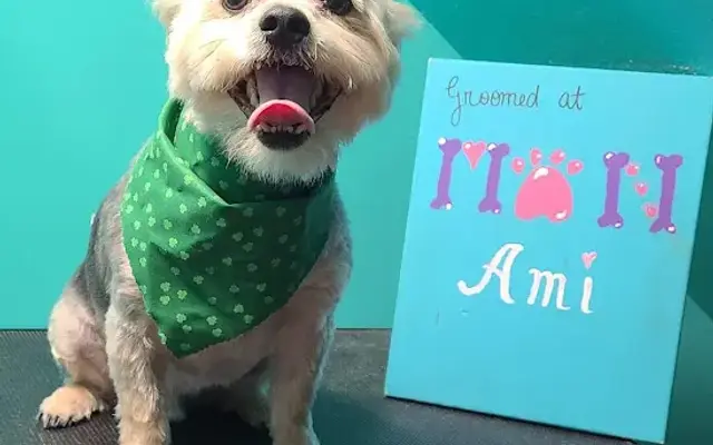 Mon Ami Pet Salon in Franklin, KY
