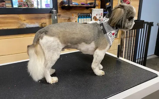 4Z Pet Spa in Bonduel, WI