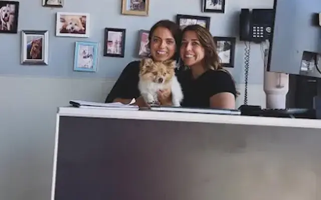 Ruffin It Doggy Daycare, Boarding and Grooming LLC in Ocean Isle Beach, NC