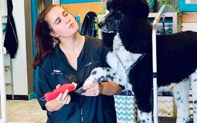 Touch of Country Grooming in Tonganoxie, KS