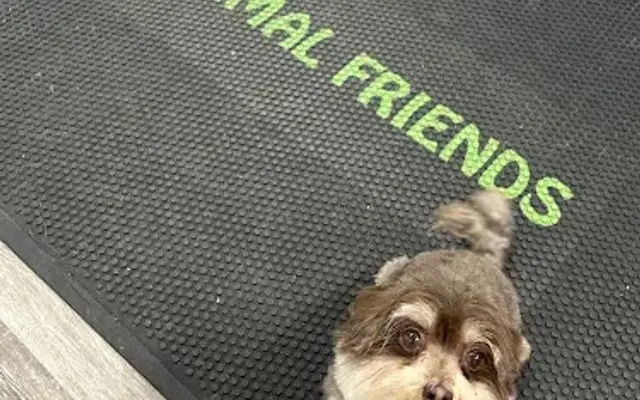 Animal Friends Pet Care in Panama City, FL