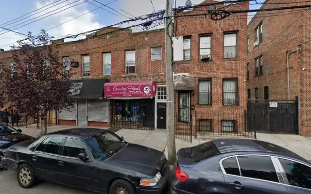 Studiopaws in Brooklyn, NY
