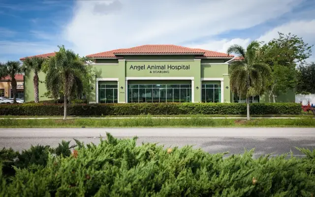 Angel Animal Hospital & Boarding in Naples, FL