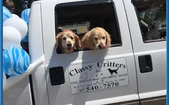Classy Critters, Inc. in Lake Zurich, IL