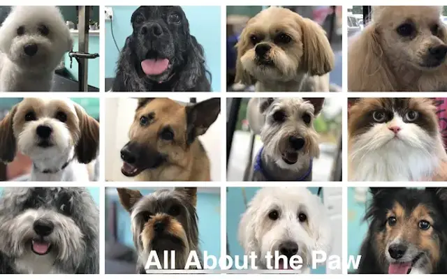 All About The Paw in Ball Ground, GA