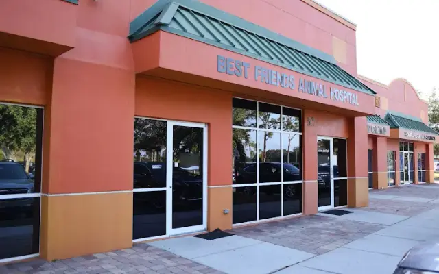 Best Friends Animal Hospital in Fort Myers, FL