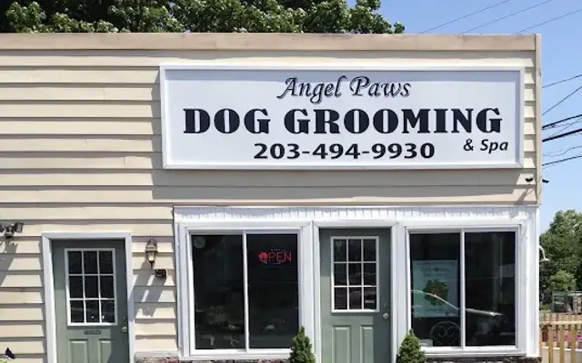 Angel Paws Dog Grooming & Spa/Angel Paws Express in Branford, CT