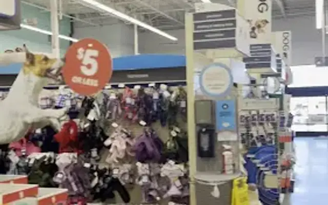 PetSmart Grooming in Houston, TX