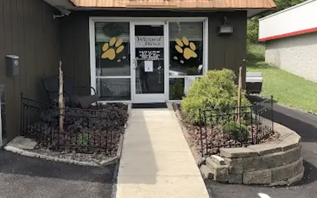 Wizard of Paws in Newport, KY