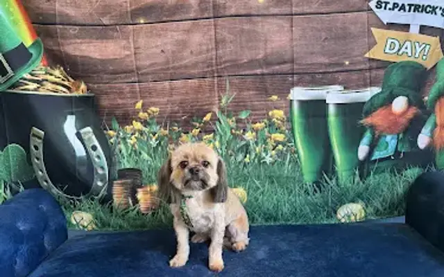 Kimberly’s Pampered Pets ( under new Owner) in Hackensack, NJ