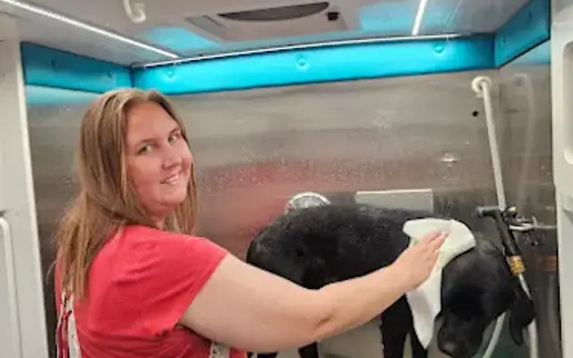 Mobile Pet Groomer - Dogs & Cats in Napa, CA