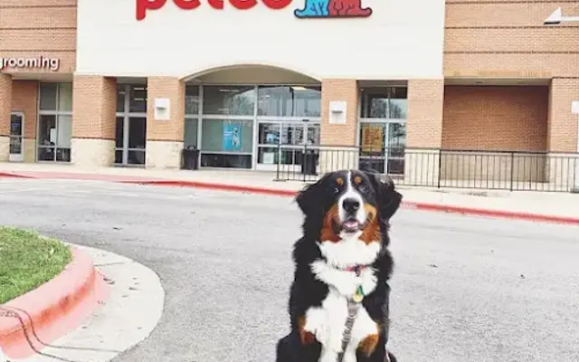 Petco in Fort Myers, FL