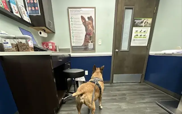 Pet Doctors of America in Jacksonville, FL