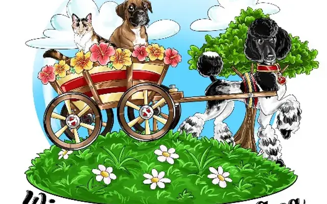 Wiggle Wagon Pet Spa in Aurora, CO